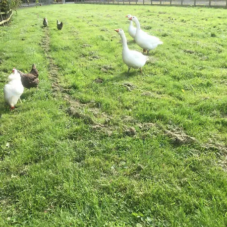 Crossgate Farm *